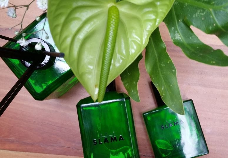 Beleza olfativa: lançamentos para agosto - perfume fresco amir slama matcha